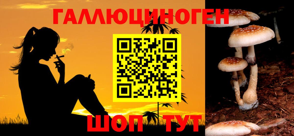 Псилоцибиновые грибы мицелий Комсомольск-на-Амуре