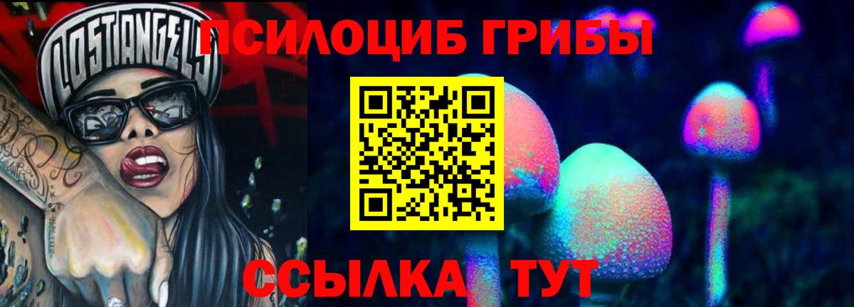 Галлюциногенные грибы GOLDEN TEACHER  продажа наркотиков  Комсомольск-на-Амуре  Вход с VPN 